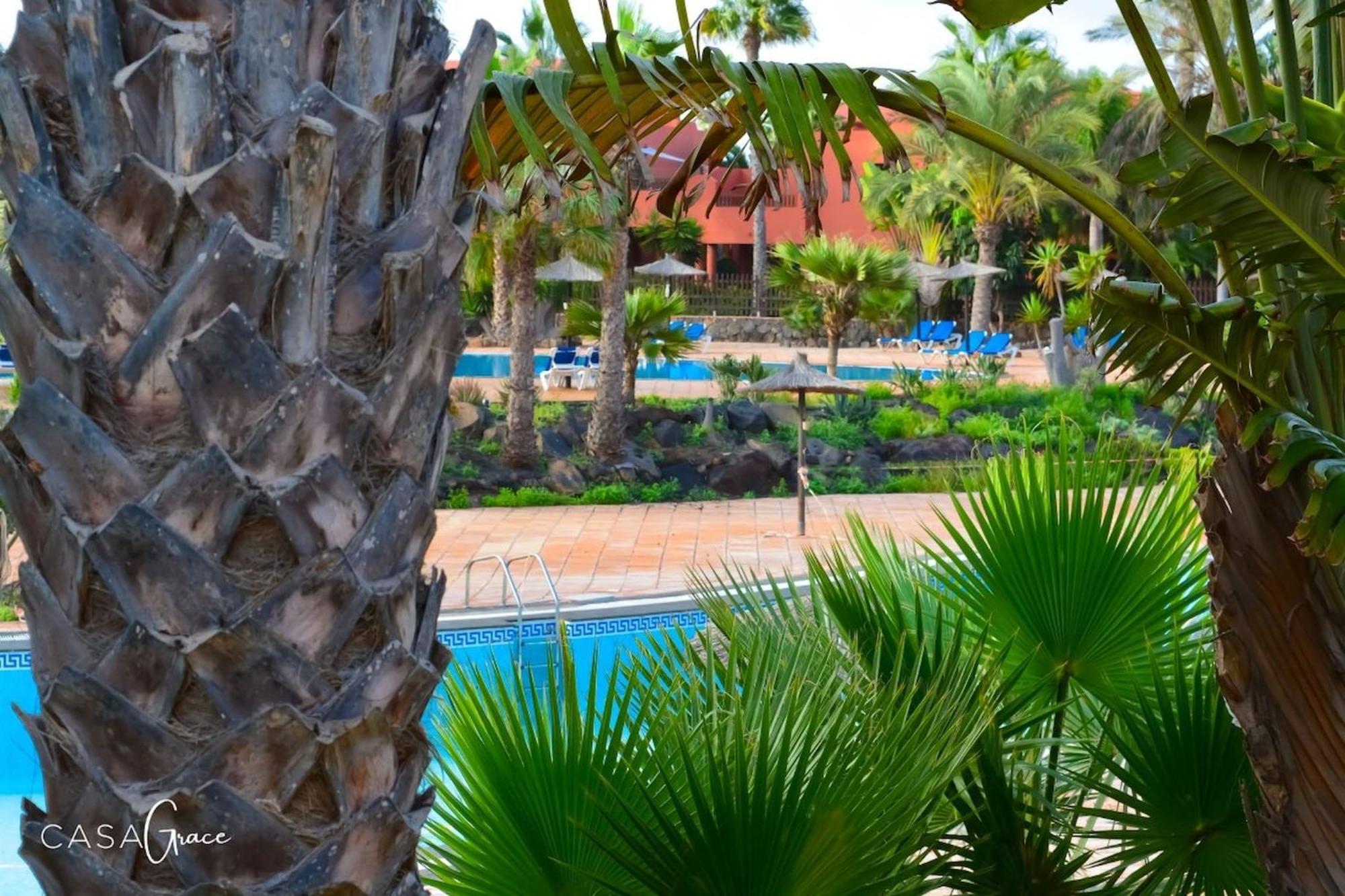 Tamarindo 1 Casa Grace Wifi Free Pool View By Rentalfue Corralejo Kültér fotó